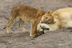 Comfort