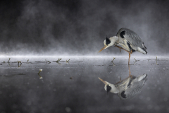 Scratch in the mist
