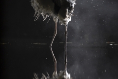 Explosion