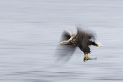 Slow flight