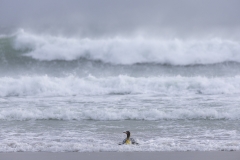Crashing waves