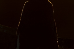 Rockhopper at sunset