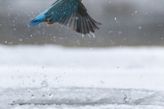In flight
