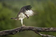 Take off